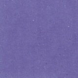 Melrose violet