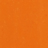 Kumquat orange