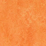 Orange sorbet
